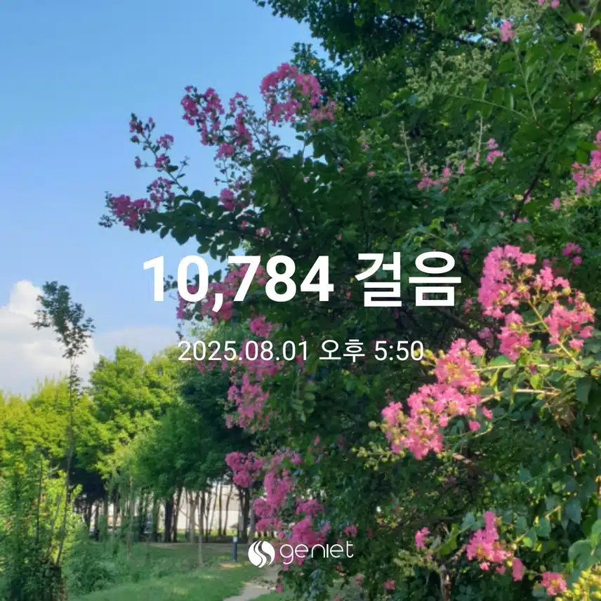 즐거운 산책길