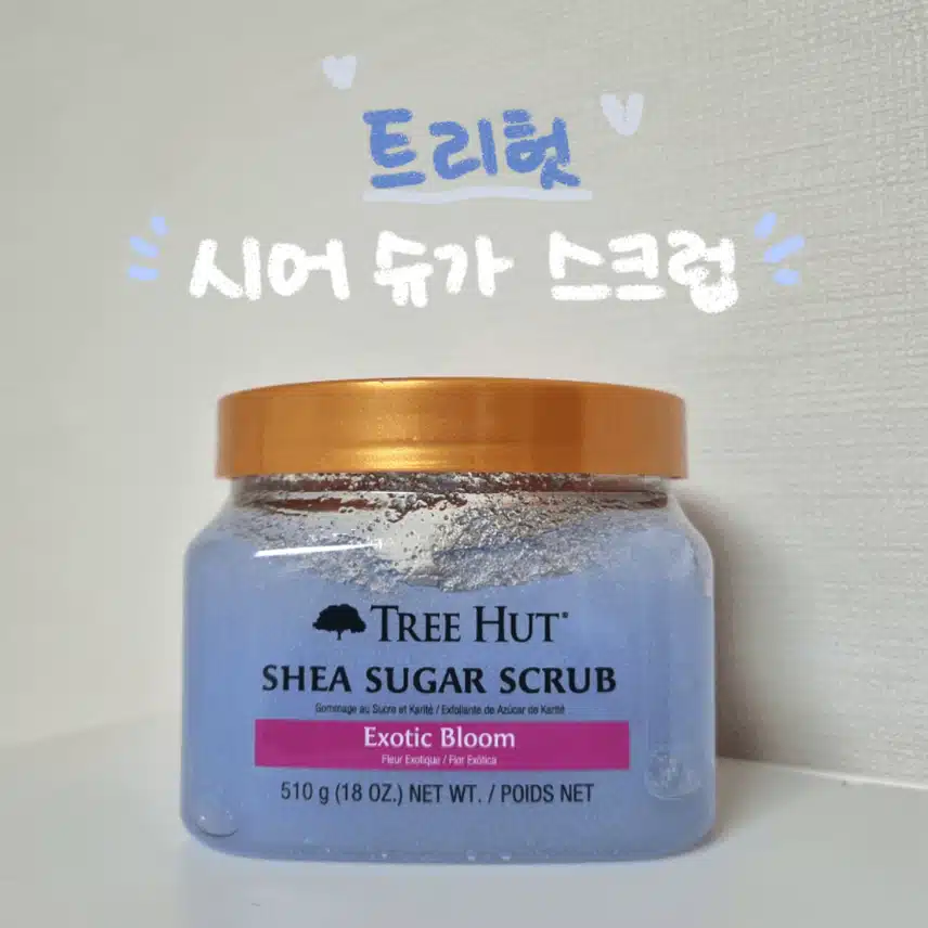 건성인들🌞을 위한 바디케어템 추천!