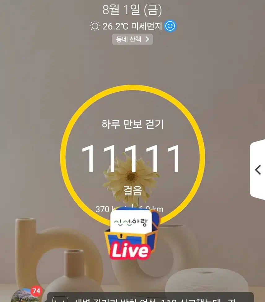 11111만보 걷기 운동 
