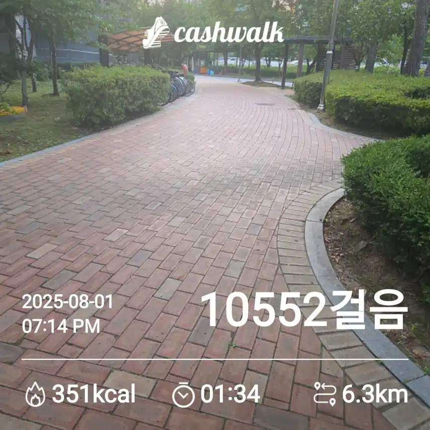 오늘도 만보걷기를....