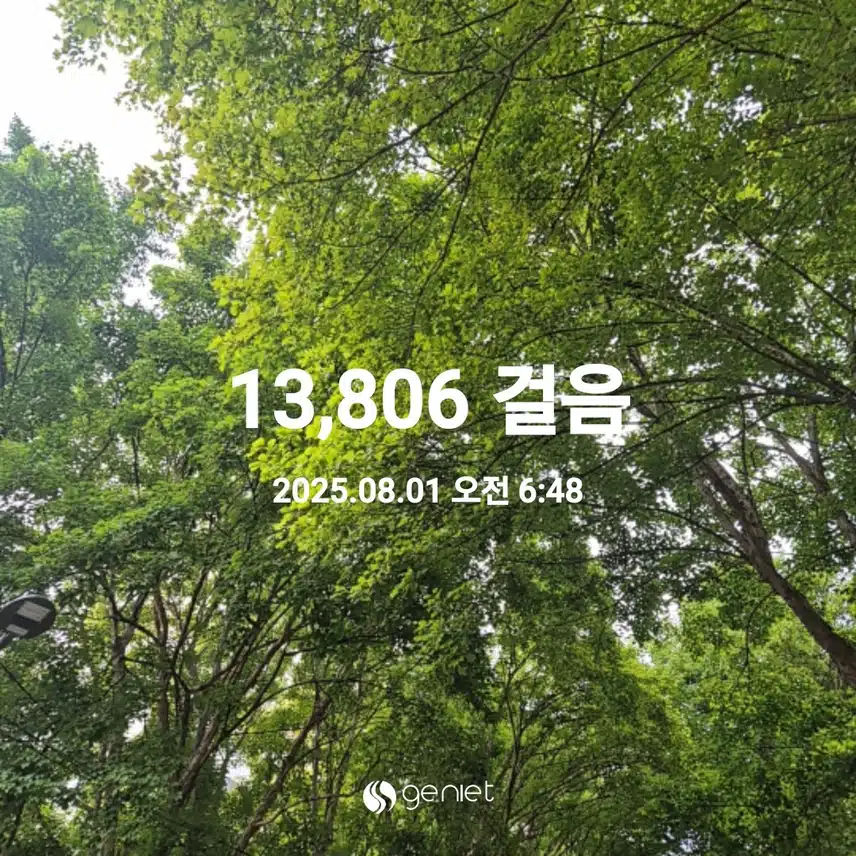 2025년 8월 1일 금요일 걷기 