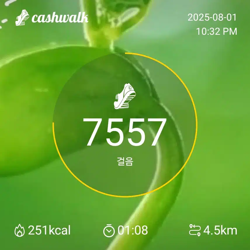 여름휴가 2일째 멋진 노를 .