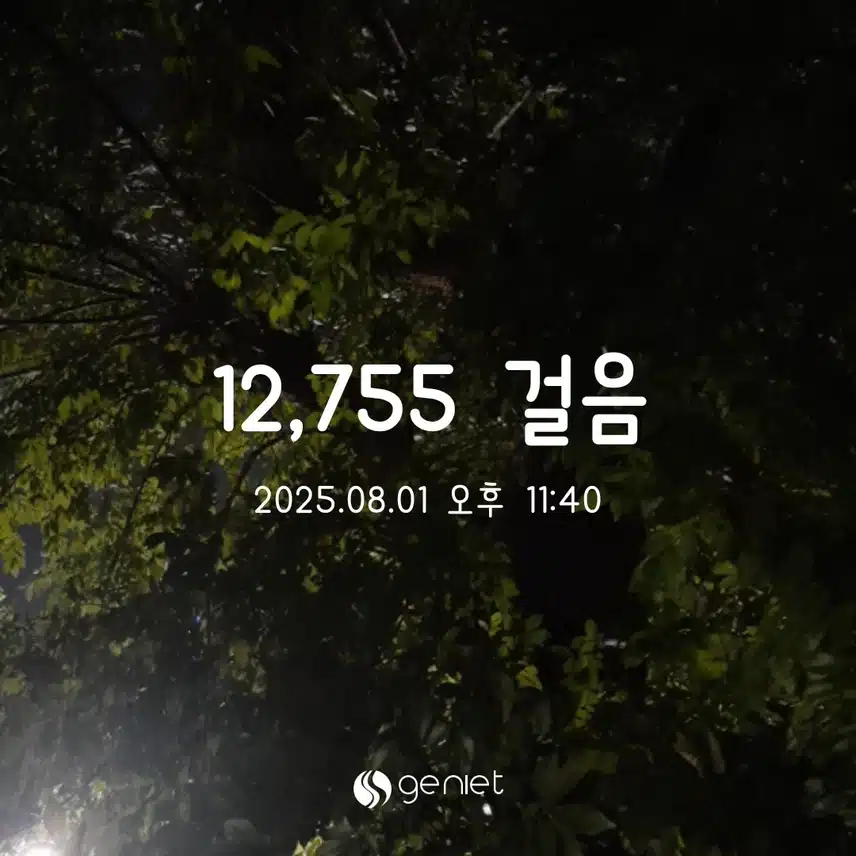 만보걷기성공