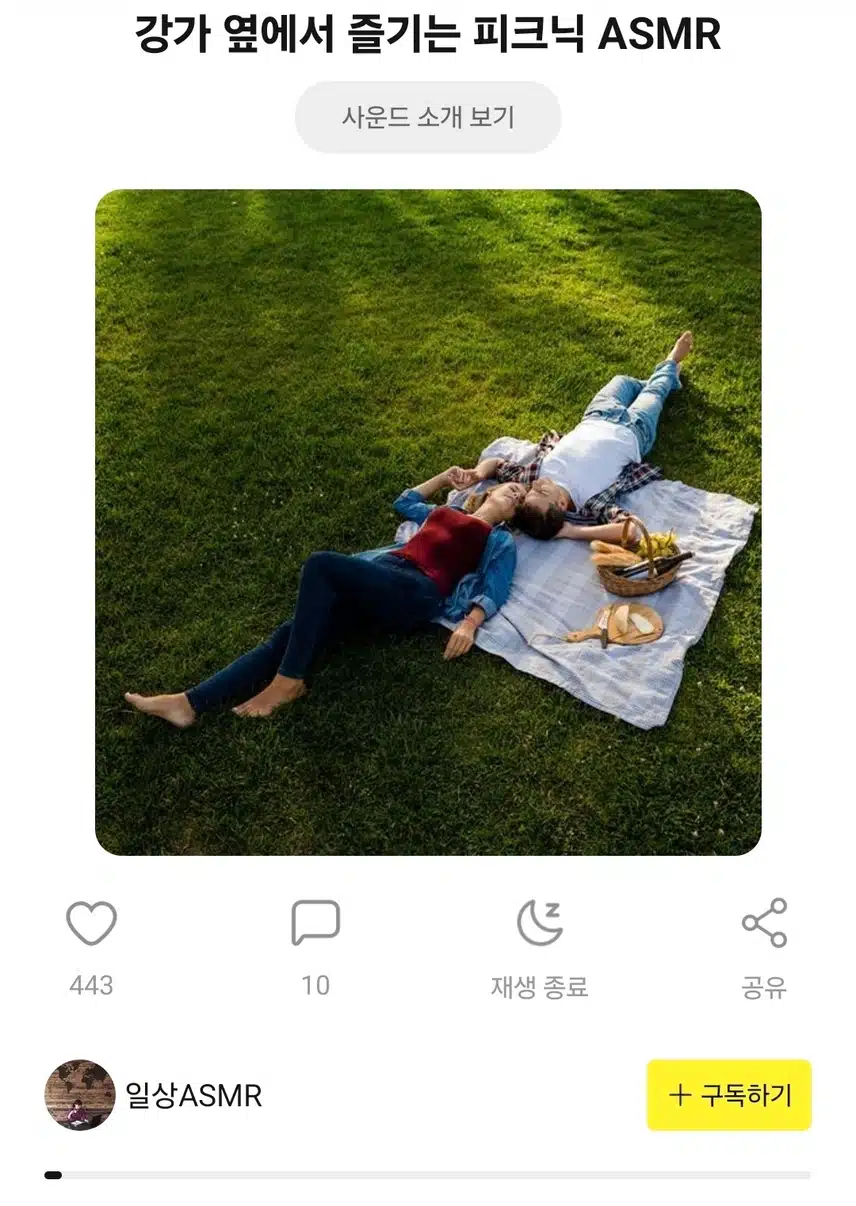 강가 옆에서 즐기는 피크닉 사운드