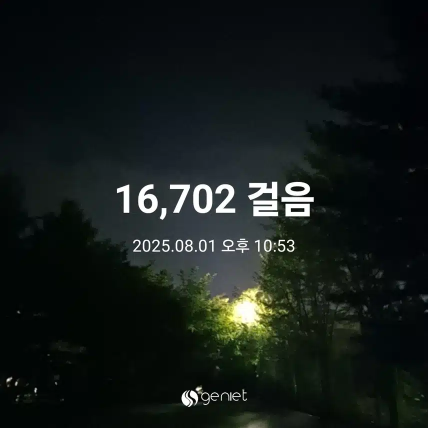 8월1일 만보~