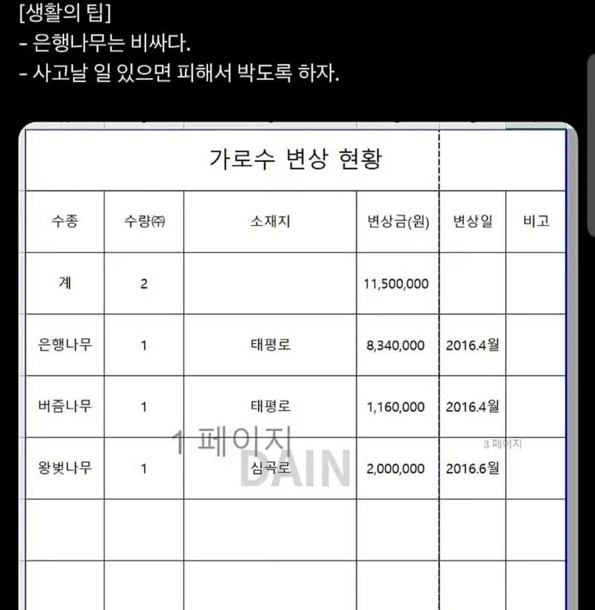 차사고로 알게된 가로수 가격