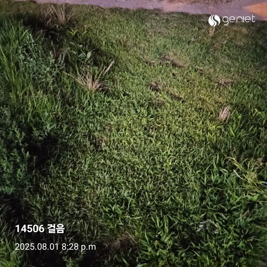 저녁 산책으로 🏃 