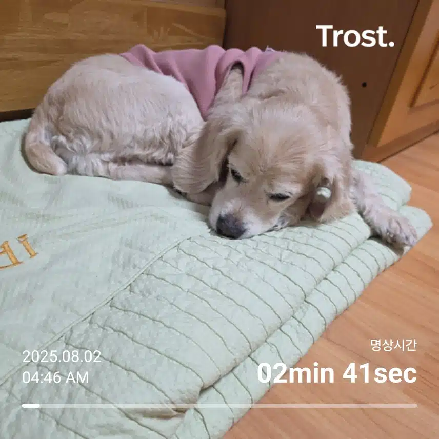 토요일 아침 