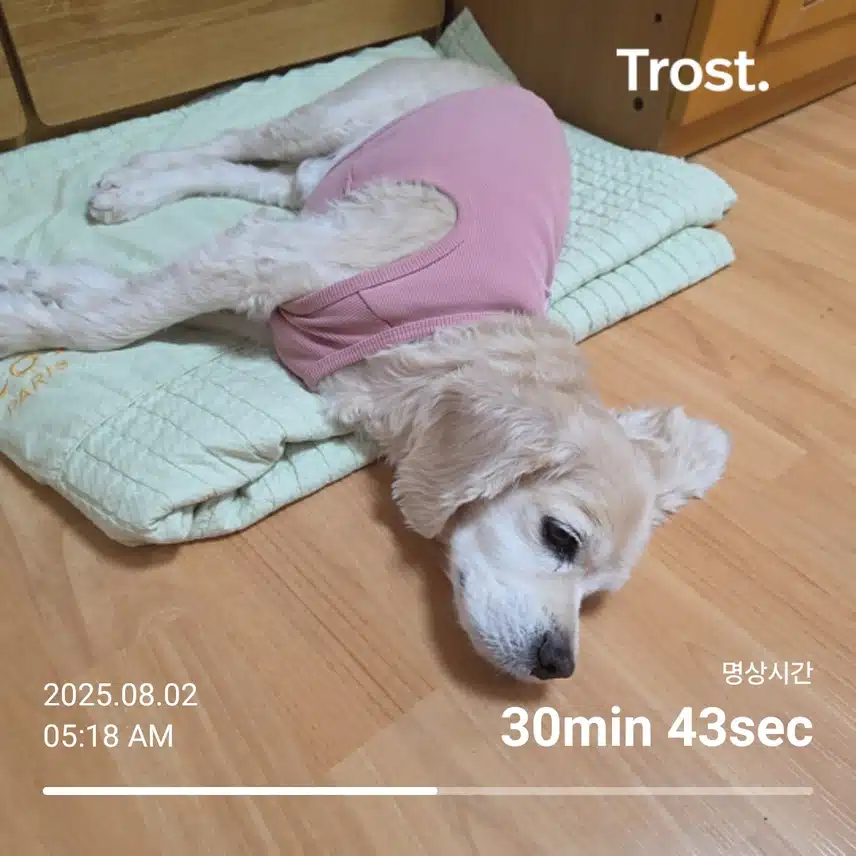 토요일 아침 