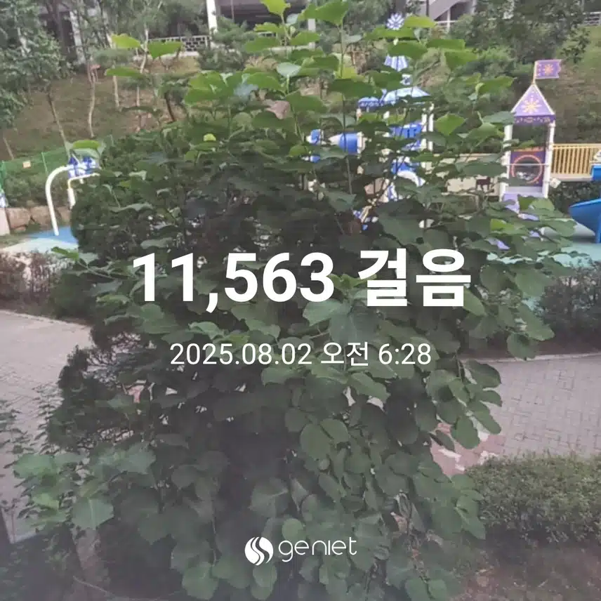 만보걷기 