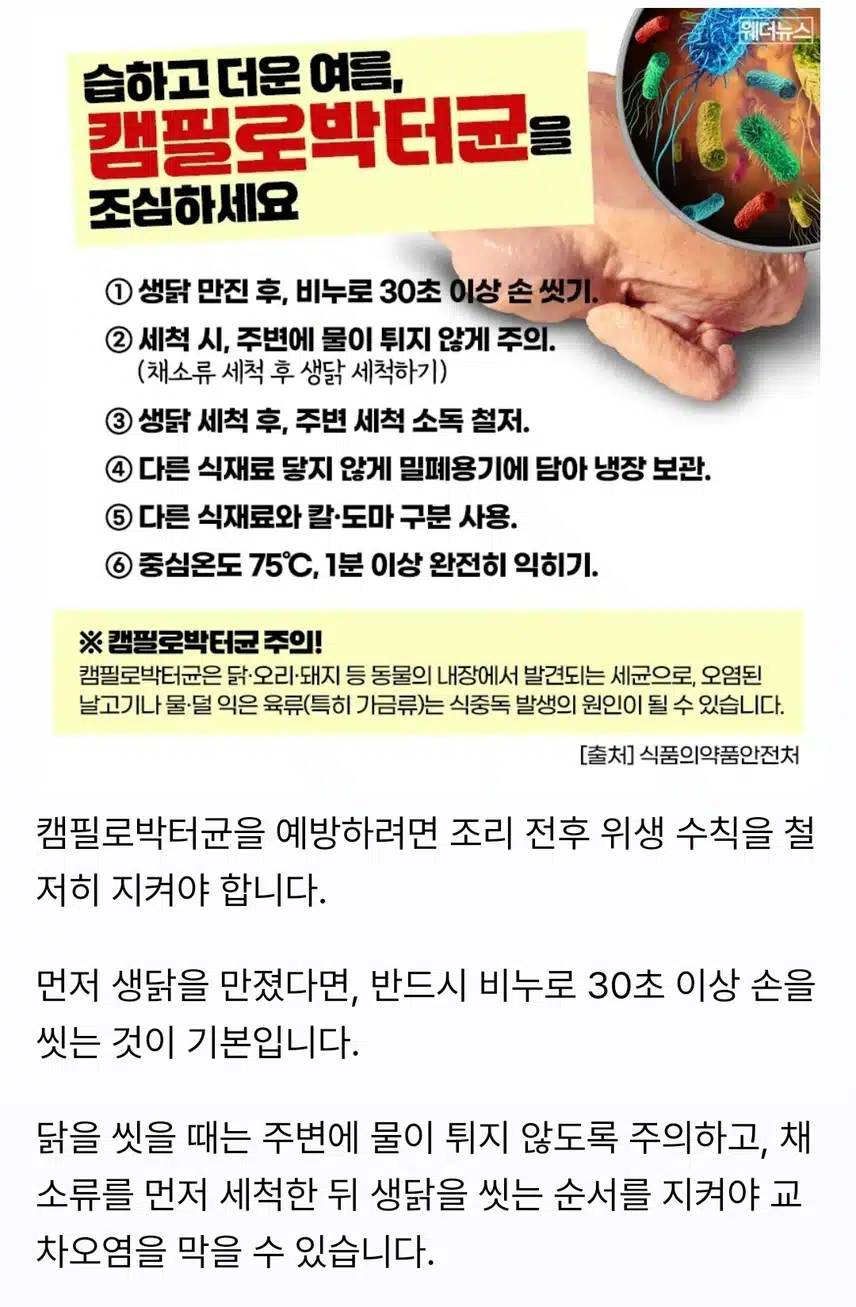 캠필로박터균  예방