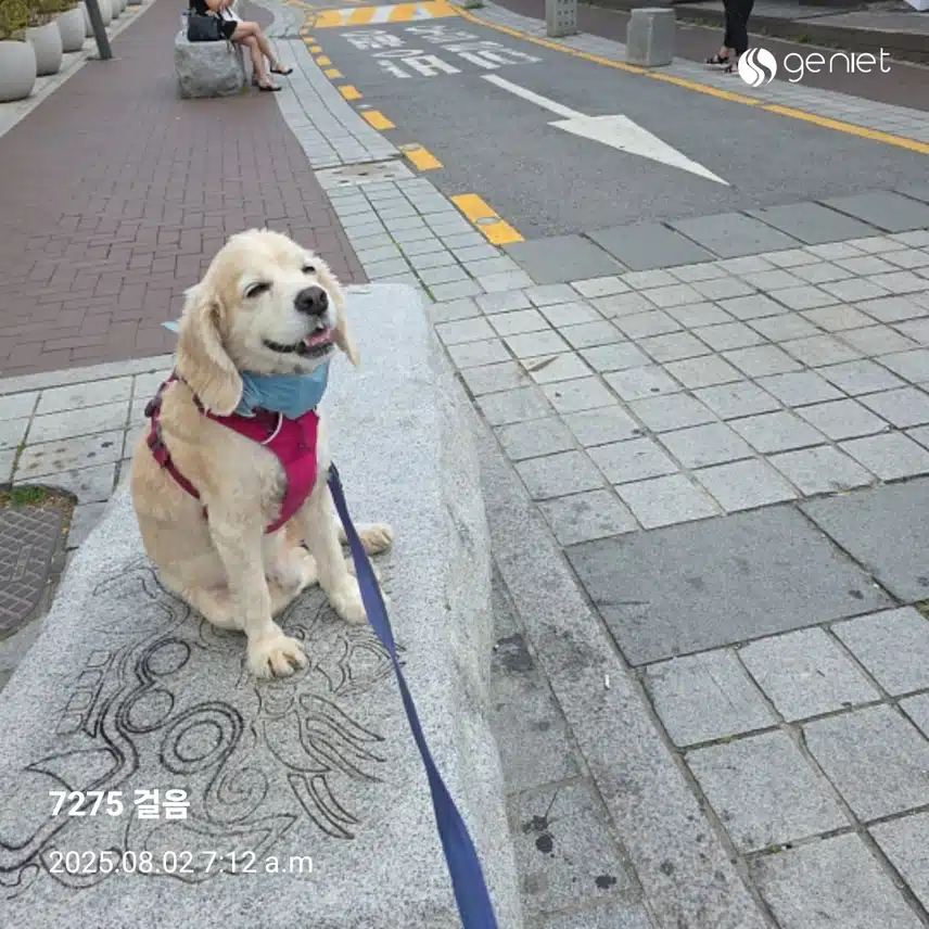 아침 먼저 견과류와 당근