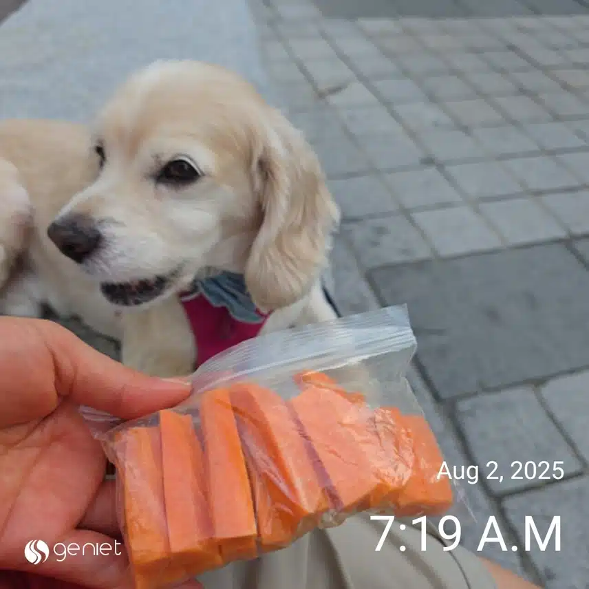 아침 먼저 견과류와 당근