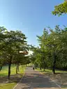 board-img