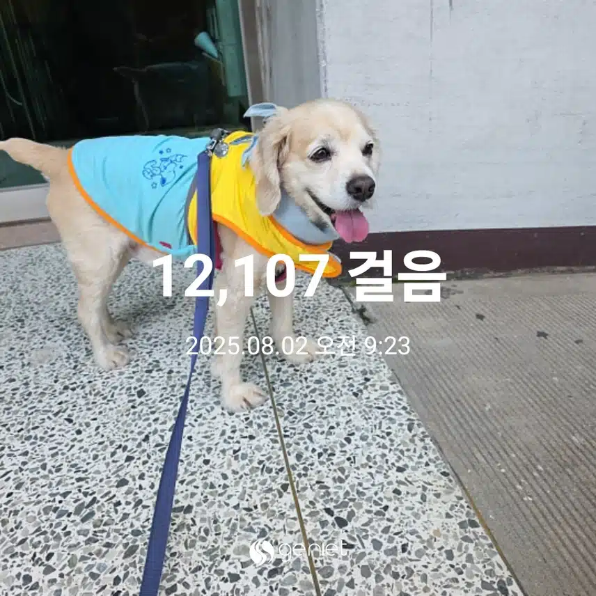 본격적 아침 바게트😉(아티스트 베이커리 안국)