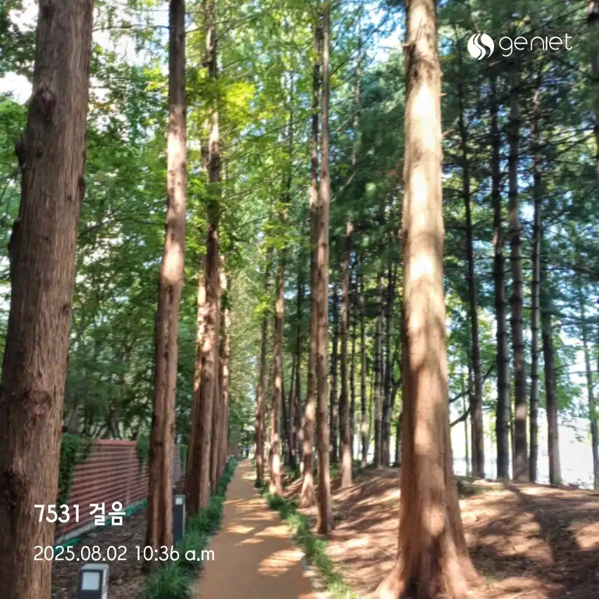 오전운동 