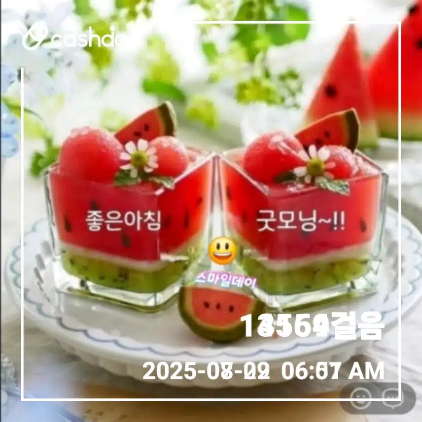  주말에도 새벽운동 만보걷기 
