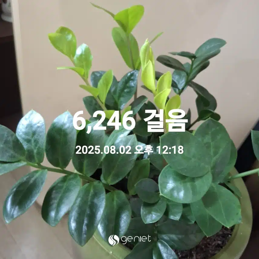 산책로 걷기 