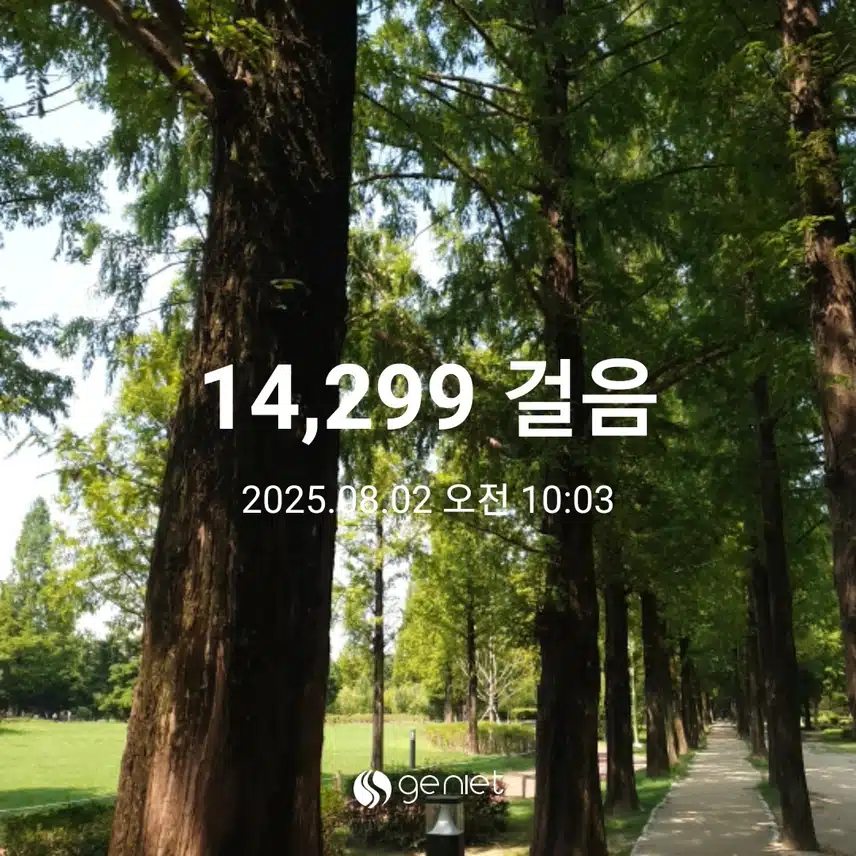 나무 그늘 아래서
