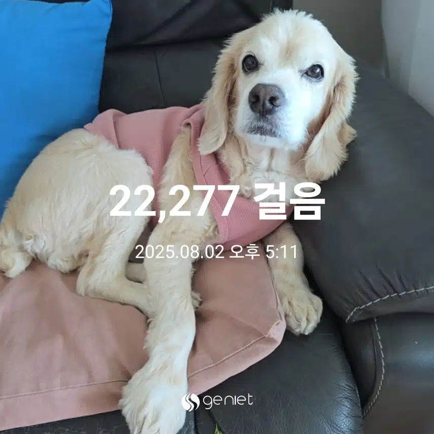 토요일 일찍 마무리