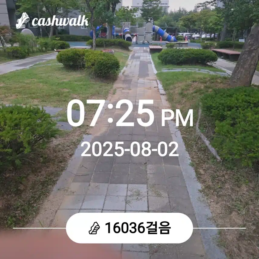 오늘도 만보걷기....