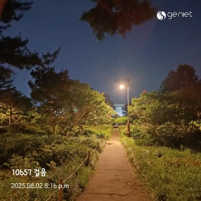 토욜 걸음 