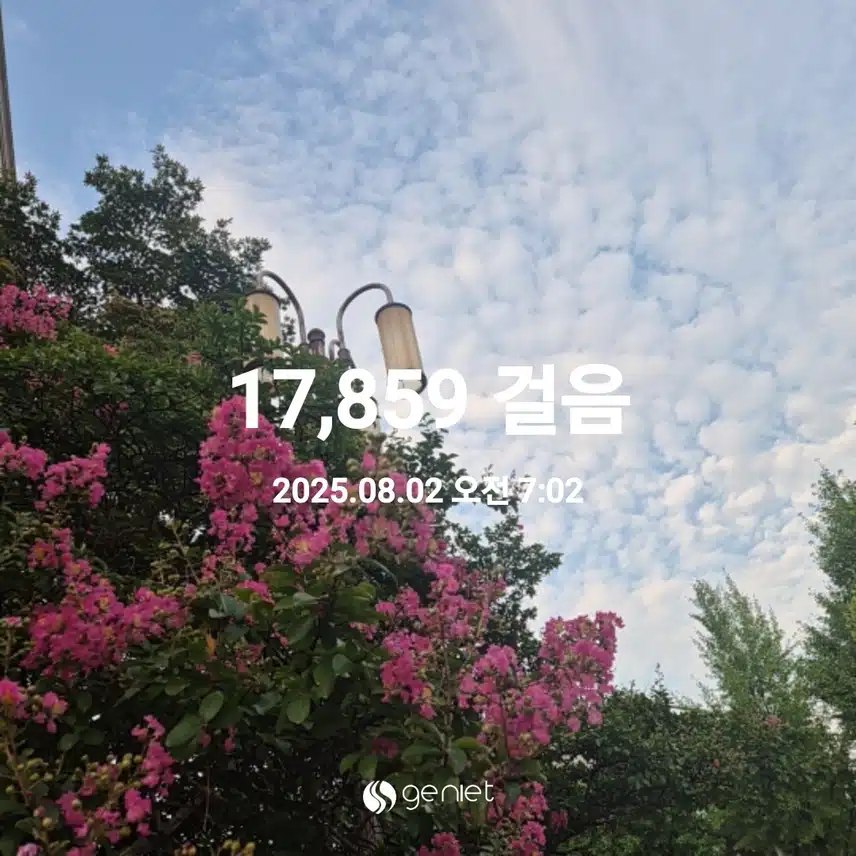 2025년 8월 2일 토요일 걷기 