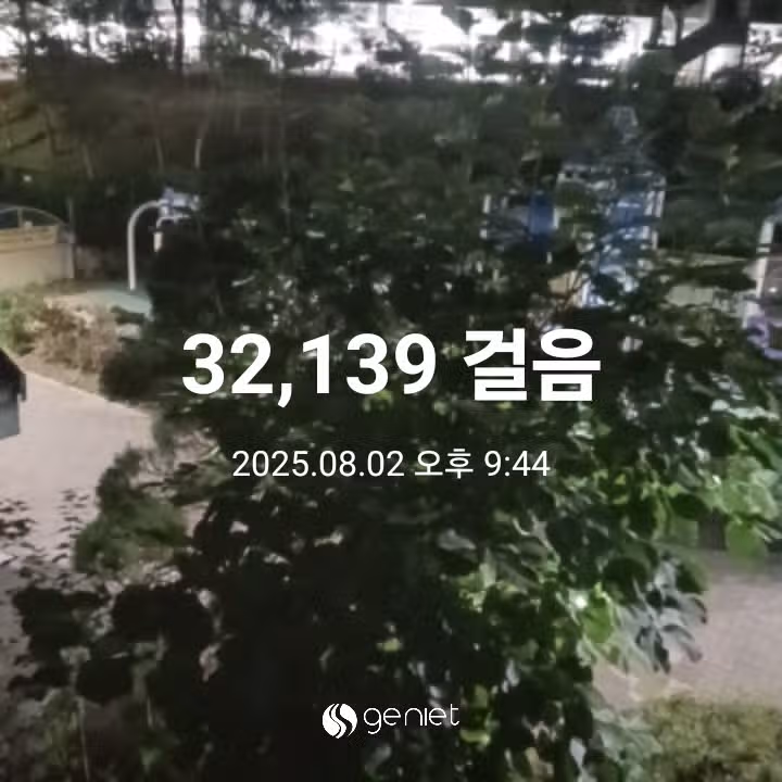 삼만보 걷기 