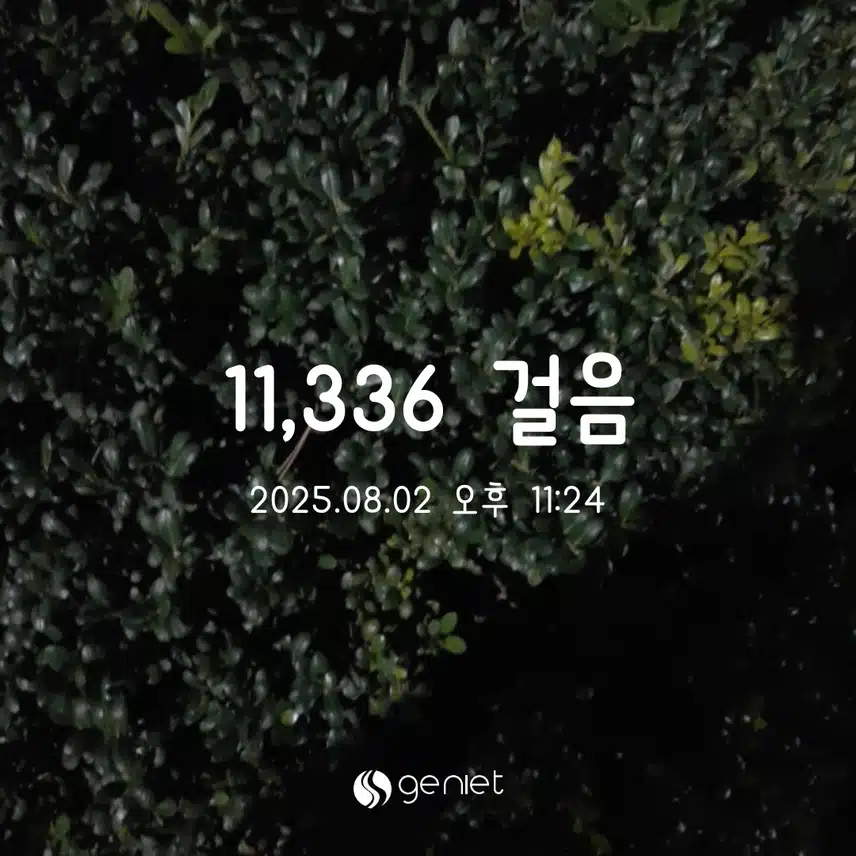 토 만보걷기 완료