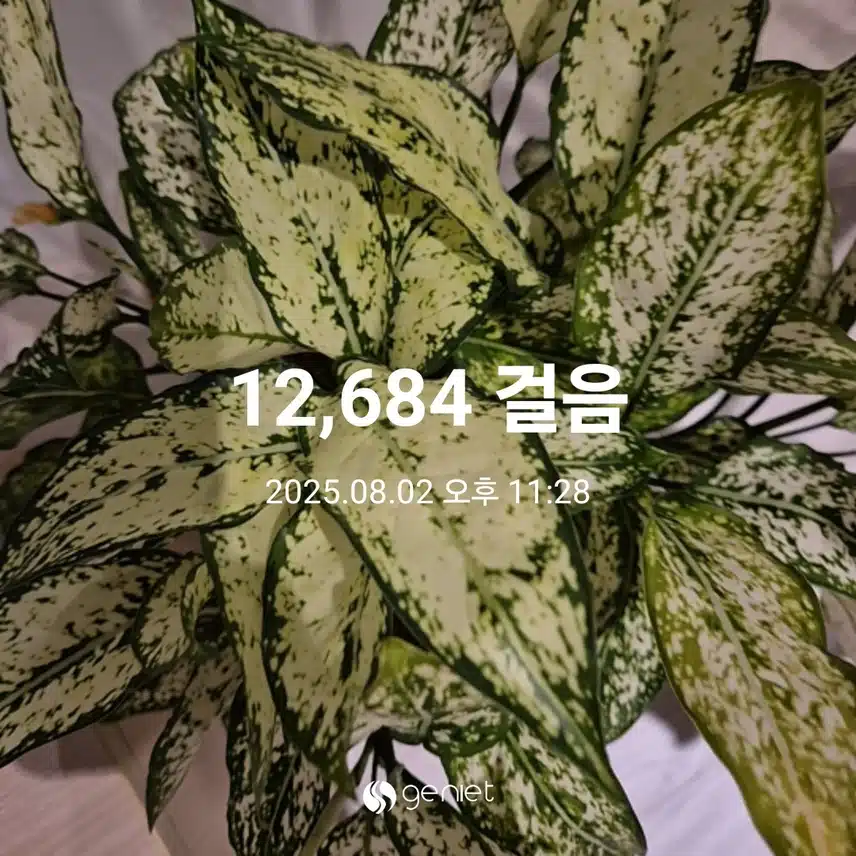 숙제완료~