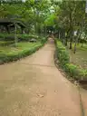 board-img