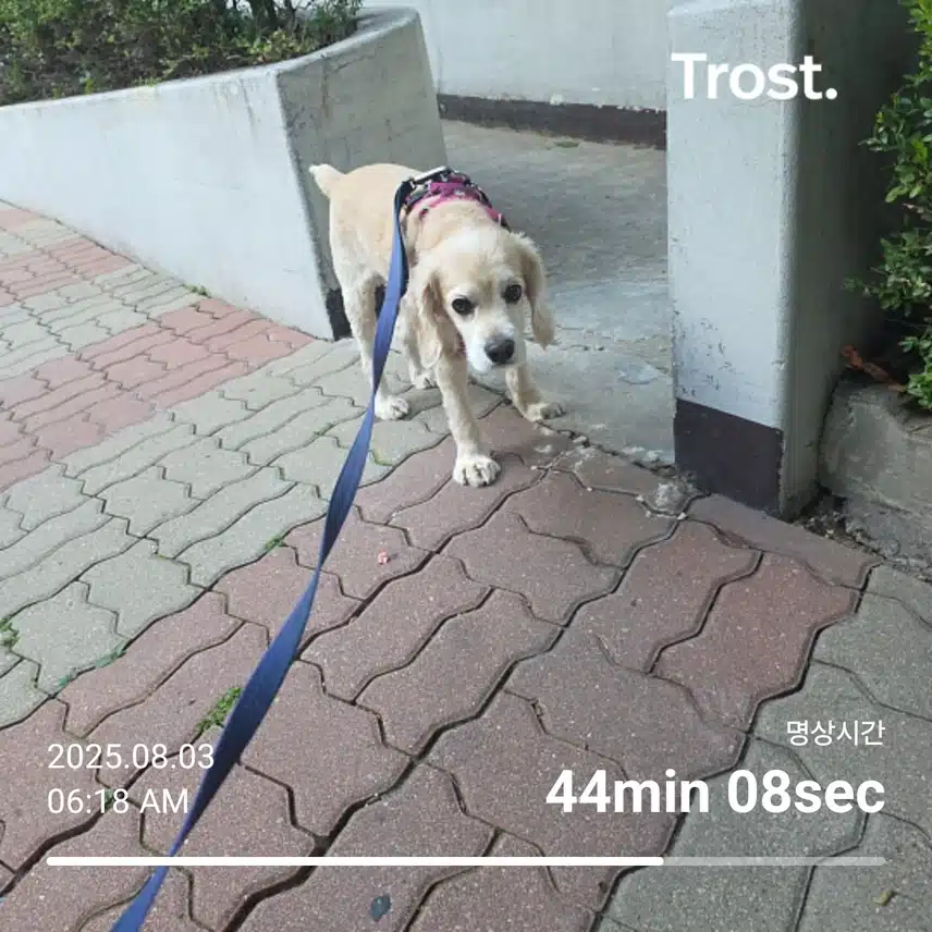 일요일 아침 
