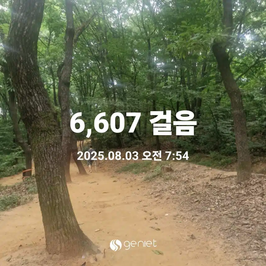 아침 숲 맨발걷기