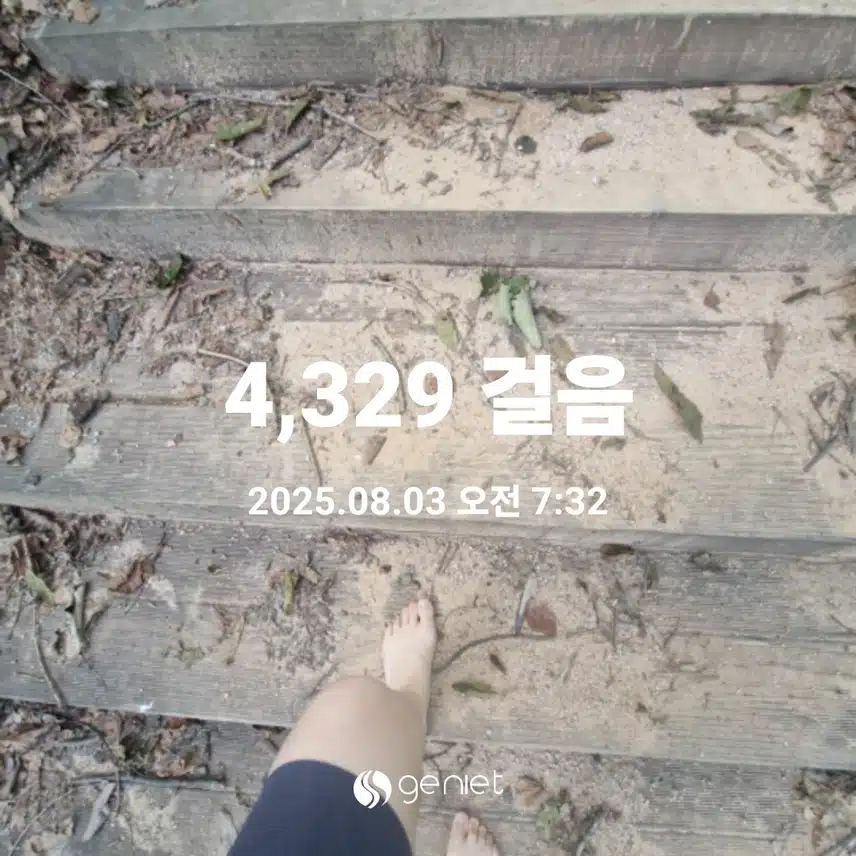 아침 숲 맨발걷기