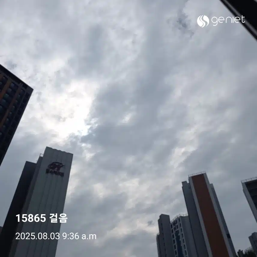 만보걷기 