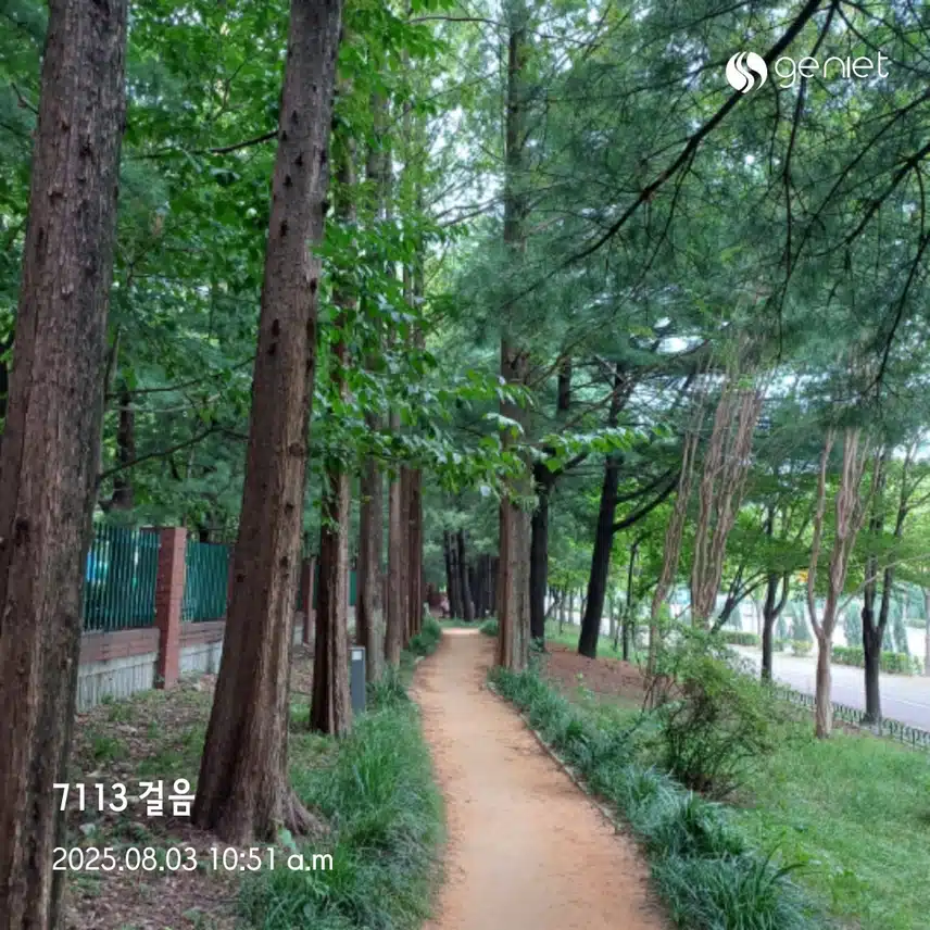 오전 운동 