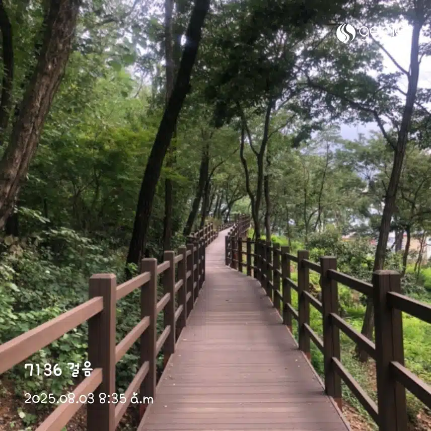 상쾌하게 산책길 따라 걸으며🏃‍♀️