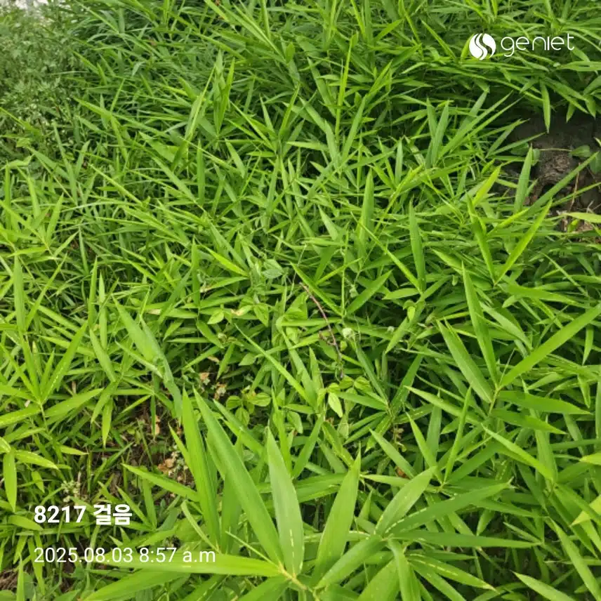 건강을 위한 산책으로 