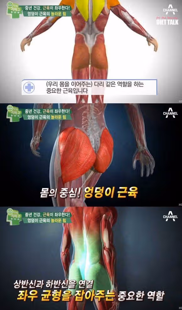 힙업 운동의 중요성 + 엉덩이 근육 자가 테스트