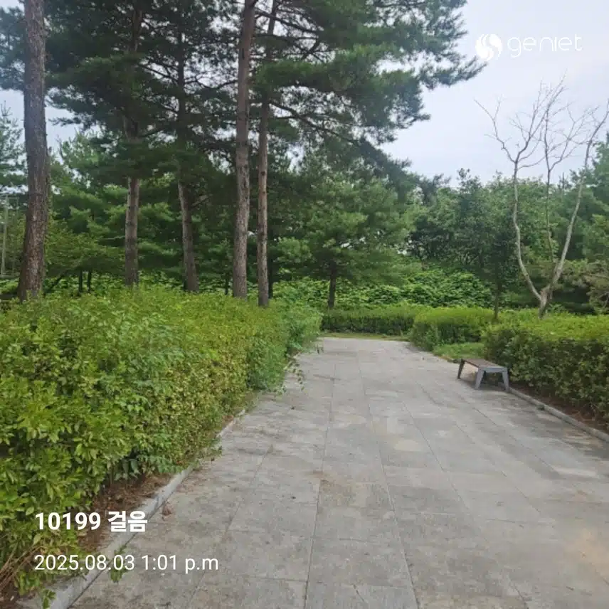 식사후 산책으로 🏃