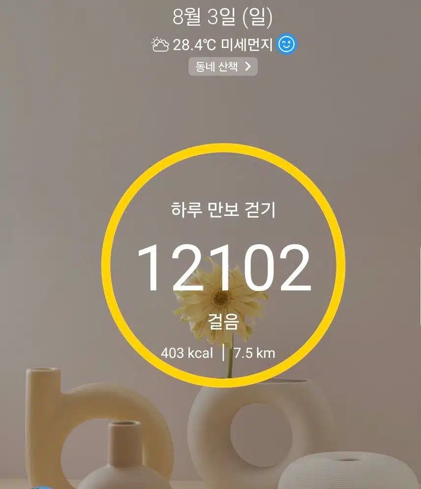 1만보 걷기 완료