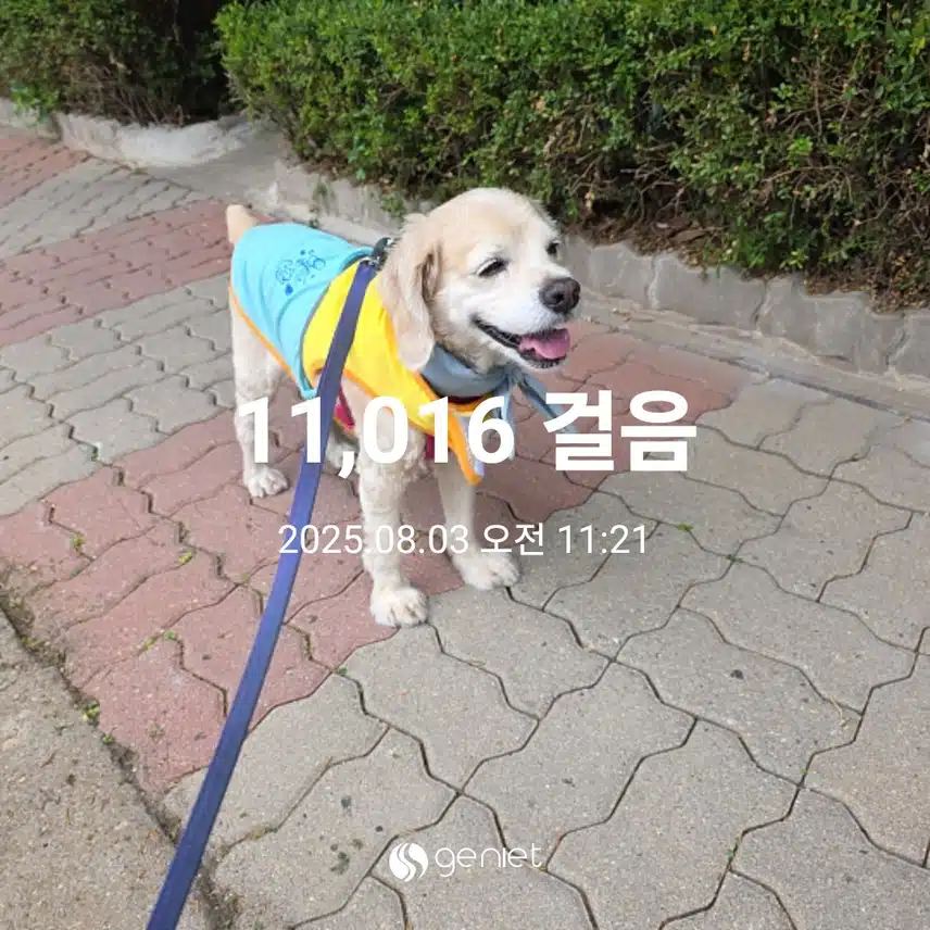 일요일 마무리 