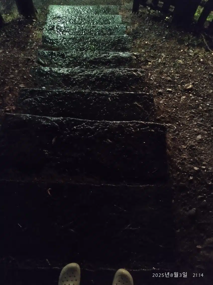 8.3 저녁산책