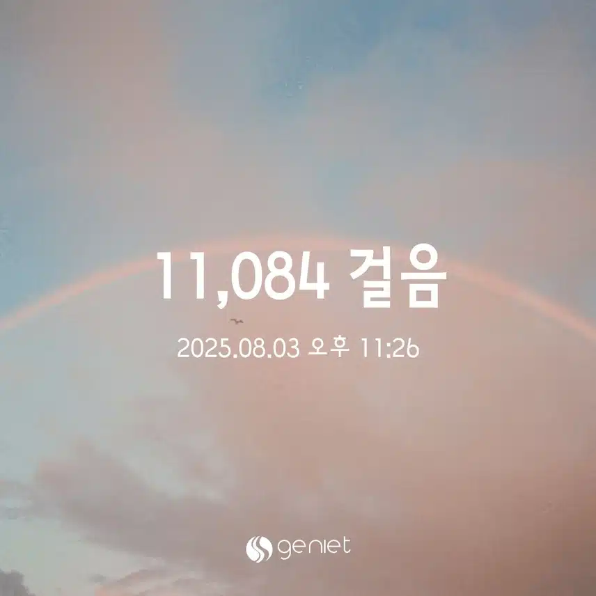 8/3 일 만보걷기 