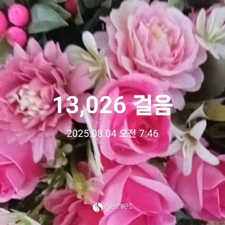 오전 운동 