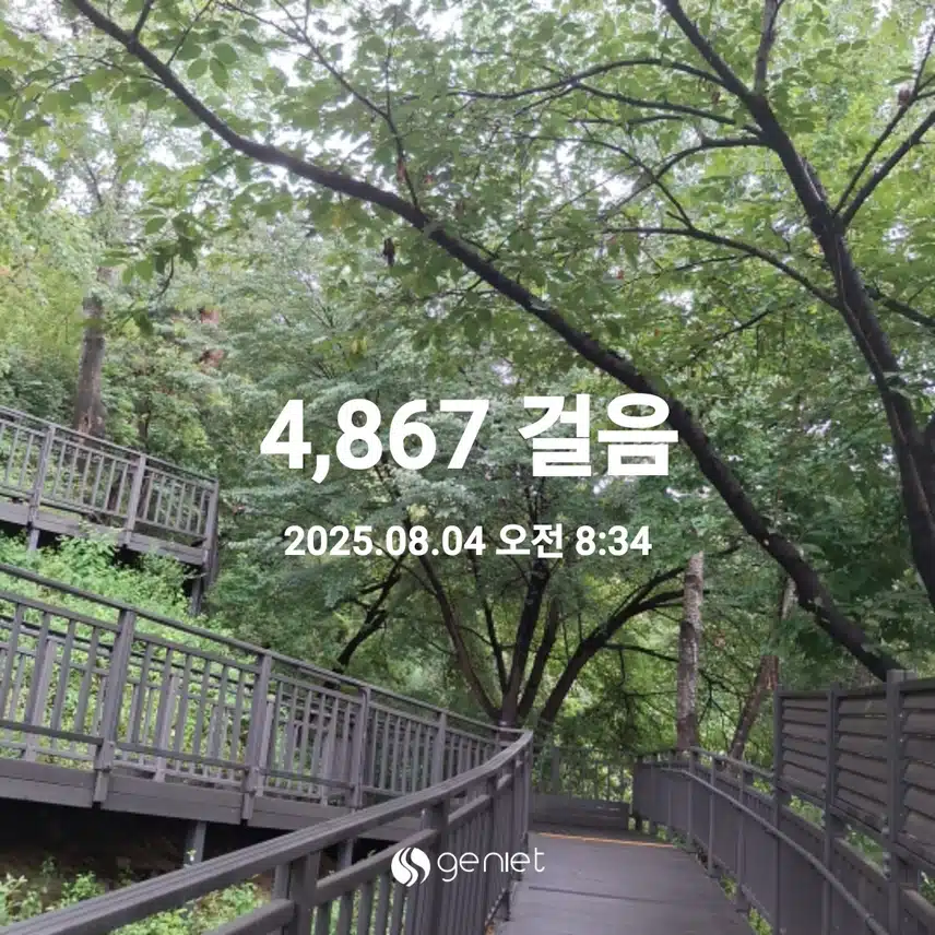  아침산책 완료