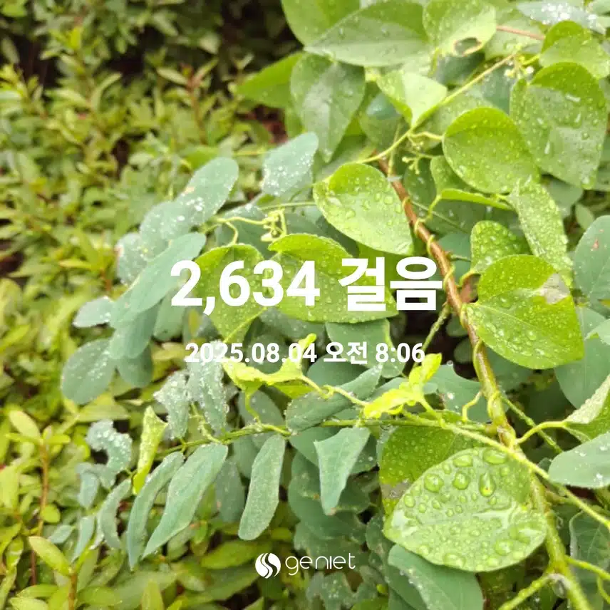  아침산책 완료