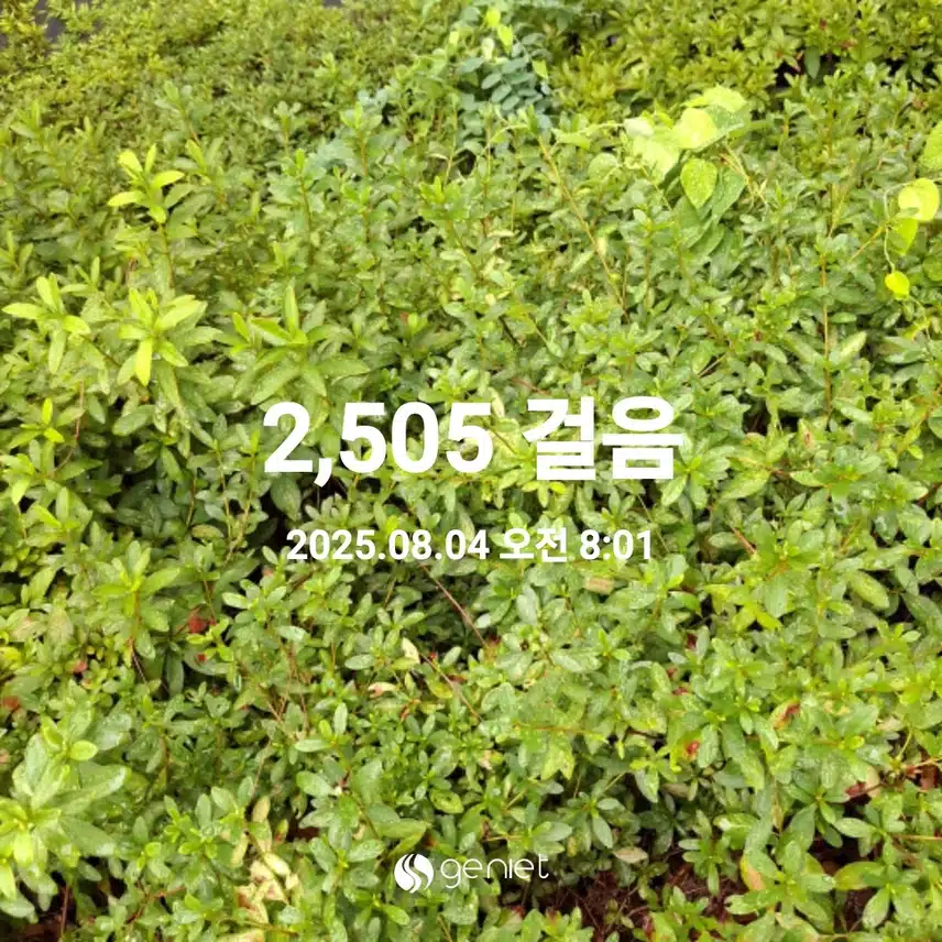  아침산책 완료