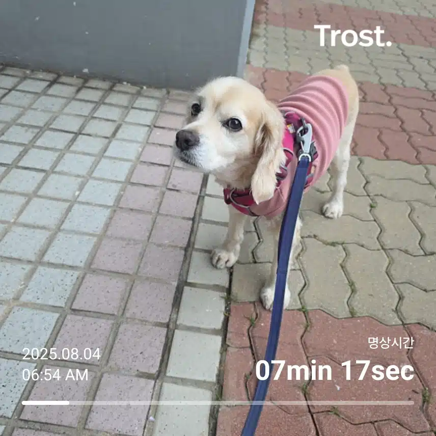 월요일 아침 