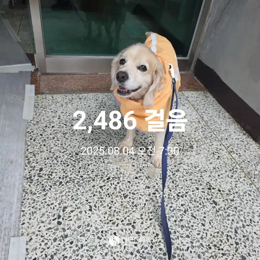 월요일 아침 